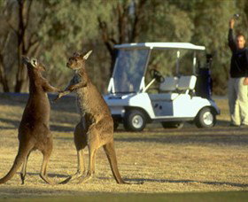 Coomealla Golf Club - Attractions Melbourne 2