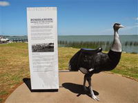 Birdman of the Coorong