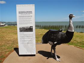 Birdman Of The Coorong - Attractions Melbourne 0