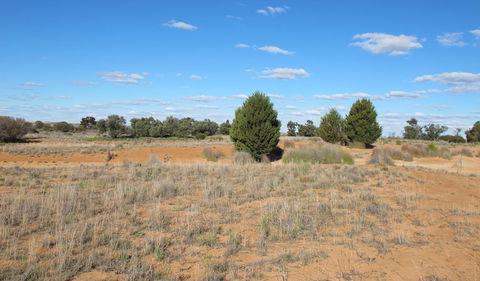 Zanci Pastoral Loop - Attractions Melbourne 3