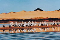 Coorong National Park