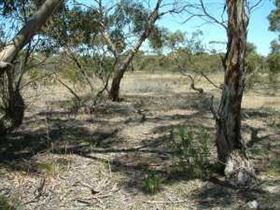 Tintinara Walking Trail - Attractions Melbourne 0