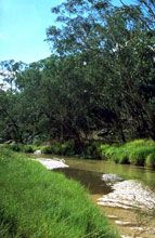 Salvator Rosa Section - Carnarvon National Park - Attractions Melbourne 0