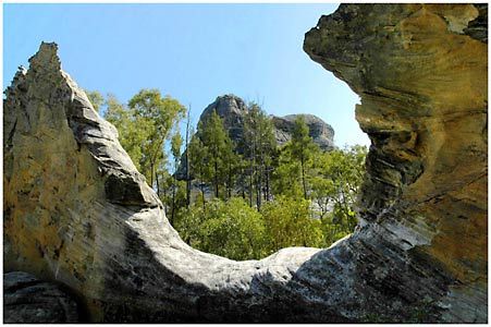 Salvator Rosa Section - Carnarvon National Park - Attractions Melbourne 1