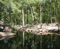 Gubara