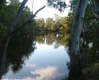 Book Balranald Accommodation Vacations Attractions Melbourne Attractions Melbourne