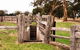 Wiese's Horse Dip - Part Of Historic Drive - thumb 0