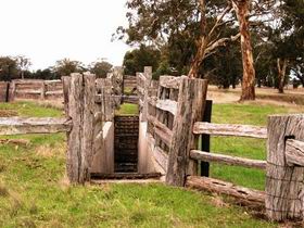 Wiese's Horse Dip - Part Of Historic Drive - Attractions Melbourne 0