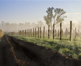 Andrew Peace Wines - Attractions Melbourne 5