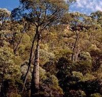 Ka Ka Mundi Carnarvon National Park - Attractions Melbourne