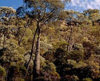 Ka Ka Mundi Carnarvon National Park