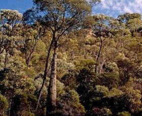 Ka Ka Mundi, Carnarvon National Park - Attractions Melbourne 0
