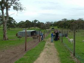 Avenue Range ACT Attractions Melbourne