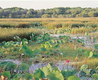 Fogg Dam Conservation Reserve