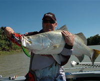 Reidy's Fishing Lures
