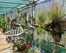 George Brown Darwin Botanic Gardens - Attractions Melbourne 5