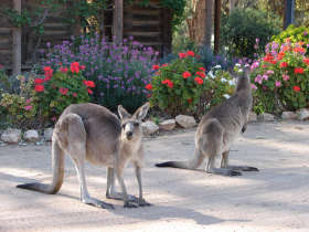 The Pioneer Settlement - Attractions Melbourne 5