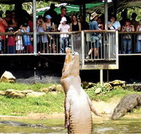 Crocodylus Park