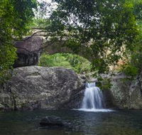Paluma and Crystal Creek Rainforest - Attractions Melbourne