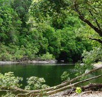 Broadwater Abergowrie State Forest - Attractions Melbourne