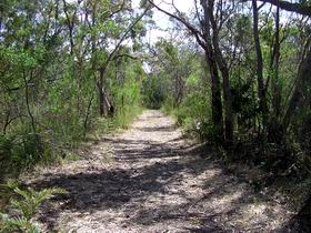 Lanky's Walk - Attractions Melbourne 0