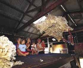 Shear Outback The Australian Shearers Hall Of Fame - Attractions Melbourne 0