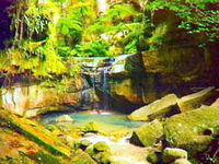 Carnarvon Gorge Carnarvon National Park