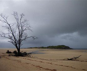 Dhamitjinya (East Woody Island) And Galaru (East Woody Beach) - Attractions Melbourne 3