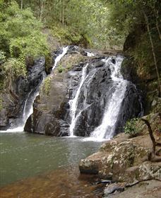 Pepina Falls - Attractions Melbourne 0
