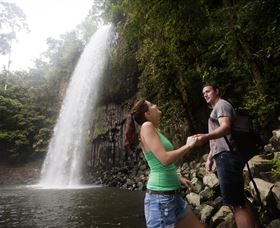 Millaa Millaa Falls - Attractions Melbourne 0