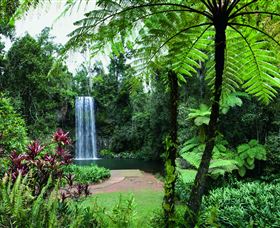Millaa Millaa Falls - Attractions Melbourne 2