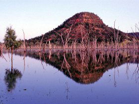 Nuga Nuga National Park And Lake Nuga Nuga - Attractions Melbourne 3