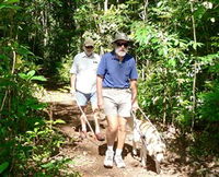 Wongabel State Forest
