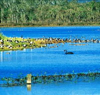 Hasties Swamp National Park - Attractions Melbourne
