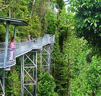 Mamu Tropical Skywalk - Attractions Melbourne
