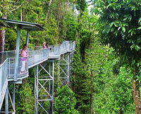 Mamu Tropical Skywalk