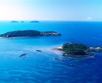 Book Kurrimine Beach Accommodation Vacations Attractions Melbourne Attractions Melbourne