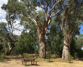 Bob Christensen Reserve - Attractions Melbourne 2