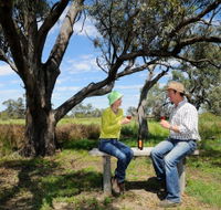 Restdown Wines and Walking Trail - Attractions Melbourne