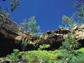 Blackdown Tableland National Park - Attractions Melbourne 1