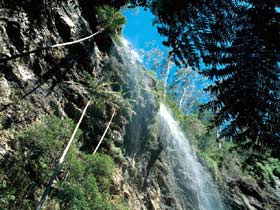 Blackdown Tableland National Park - Attractions Melbourne 2
