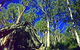 Blackdown Tableland National Park - thumb 3