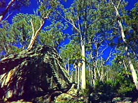 Blackdown Tableland National Park - Attractions Melbourne 3