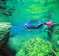 Piccaninnie Ponds Conservation Park - Attractions Melbourne