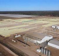 Southern Cotton Gin - Attractions Melbourne