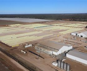 Southern Cotton Gin - Attractions Melbourne 0