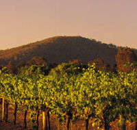 Taltarni Vineyards - Attractions Melbourne