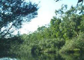 Crawford River Regional Park - Attractions Melbourne 0