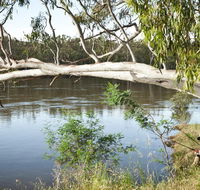 Murray Valley National Park - Attractions Melbourne