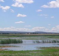 Fivebough Wetlands - Attractions Melbourne